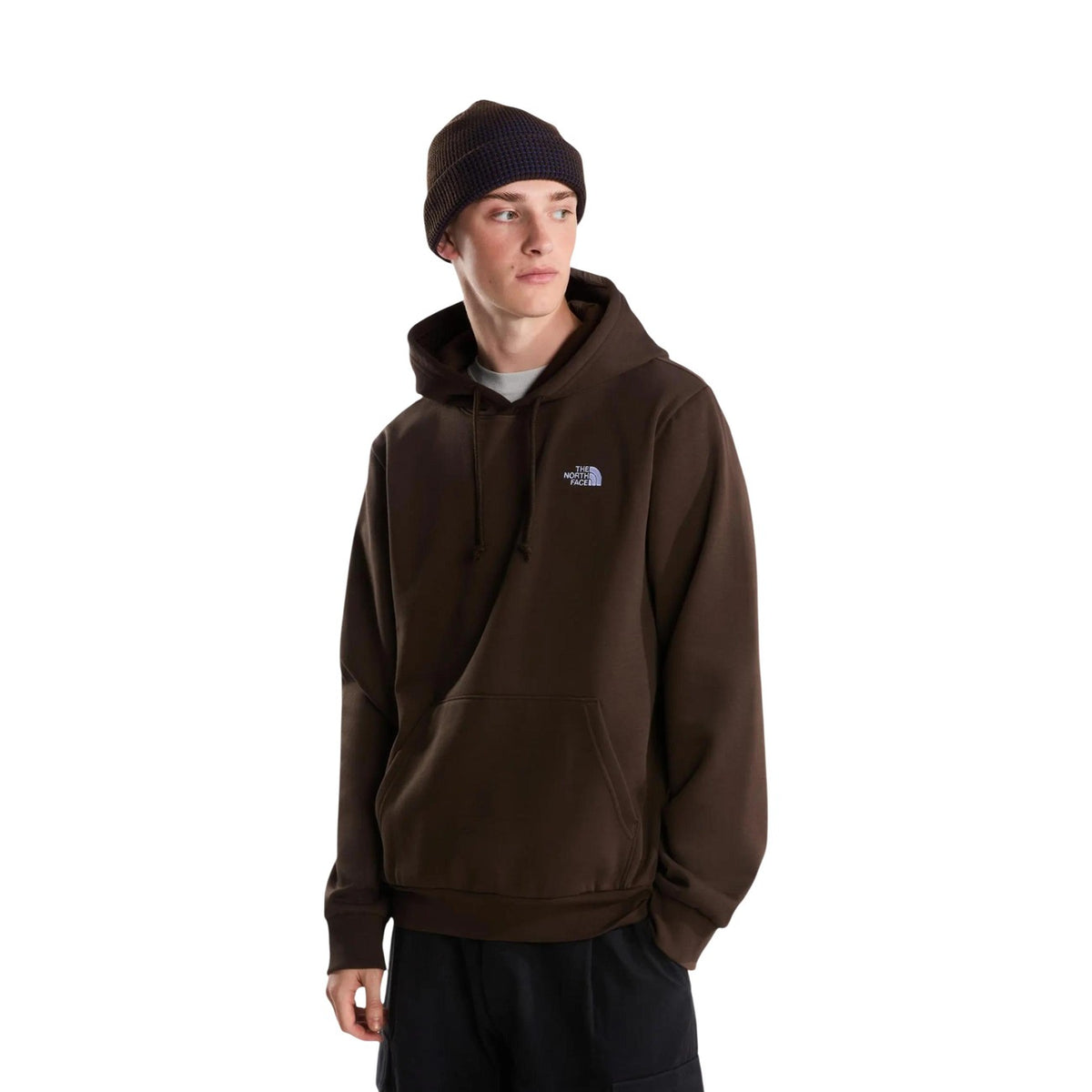 The North Face — Sweat Evolution Simple Dome à capuche homme — Marron