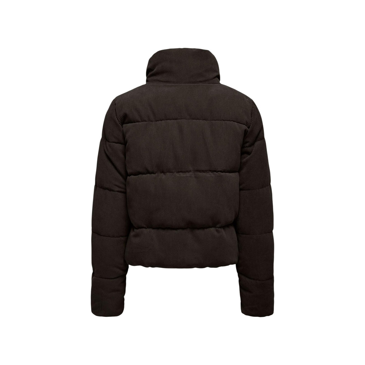 Only — Doudoune en velours côtelé ONLNEWDOLLY marron femme — vue 4