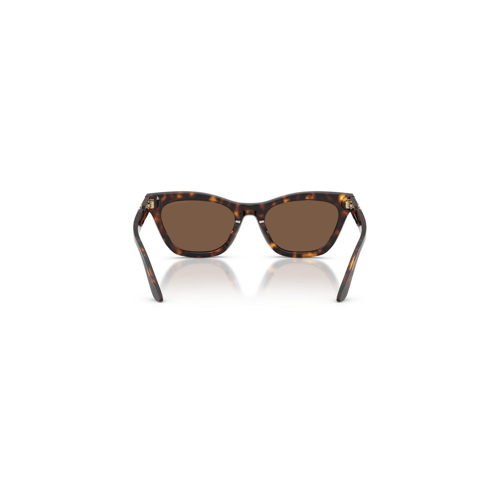 Emporio Armani — Women's 55mm brown acetate cat-eye sunglasses — view 3