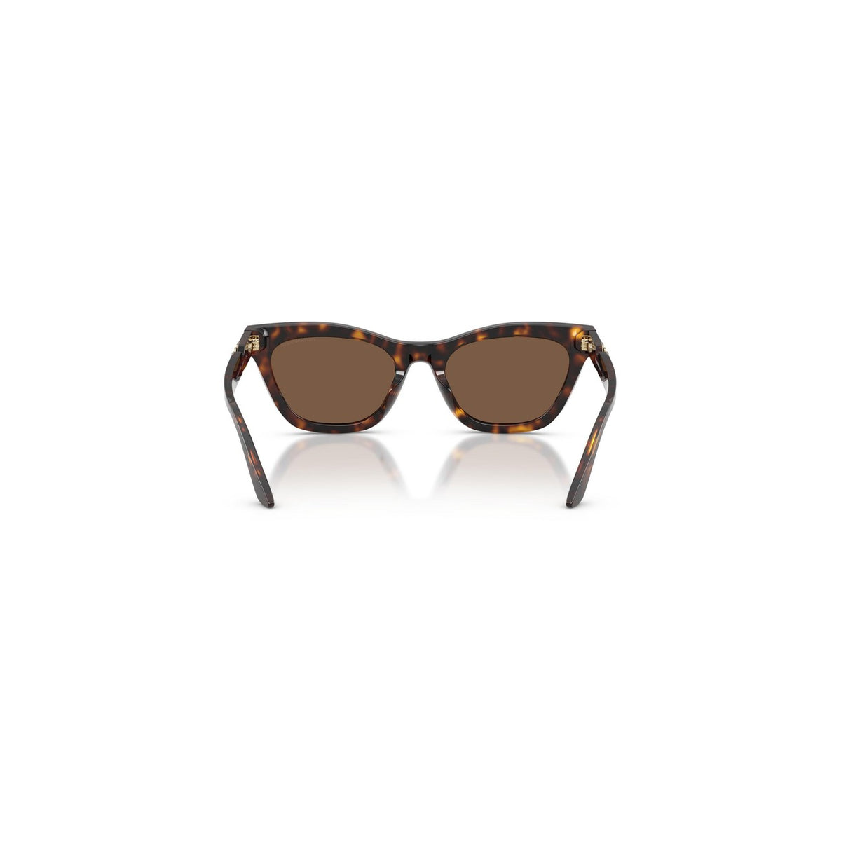 Emporio Armani — Women's 55mm brown acetate cat-eye sunglasses — view 3