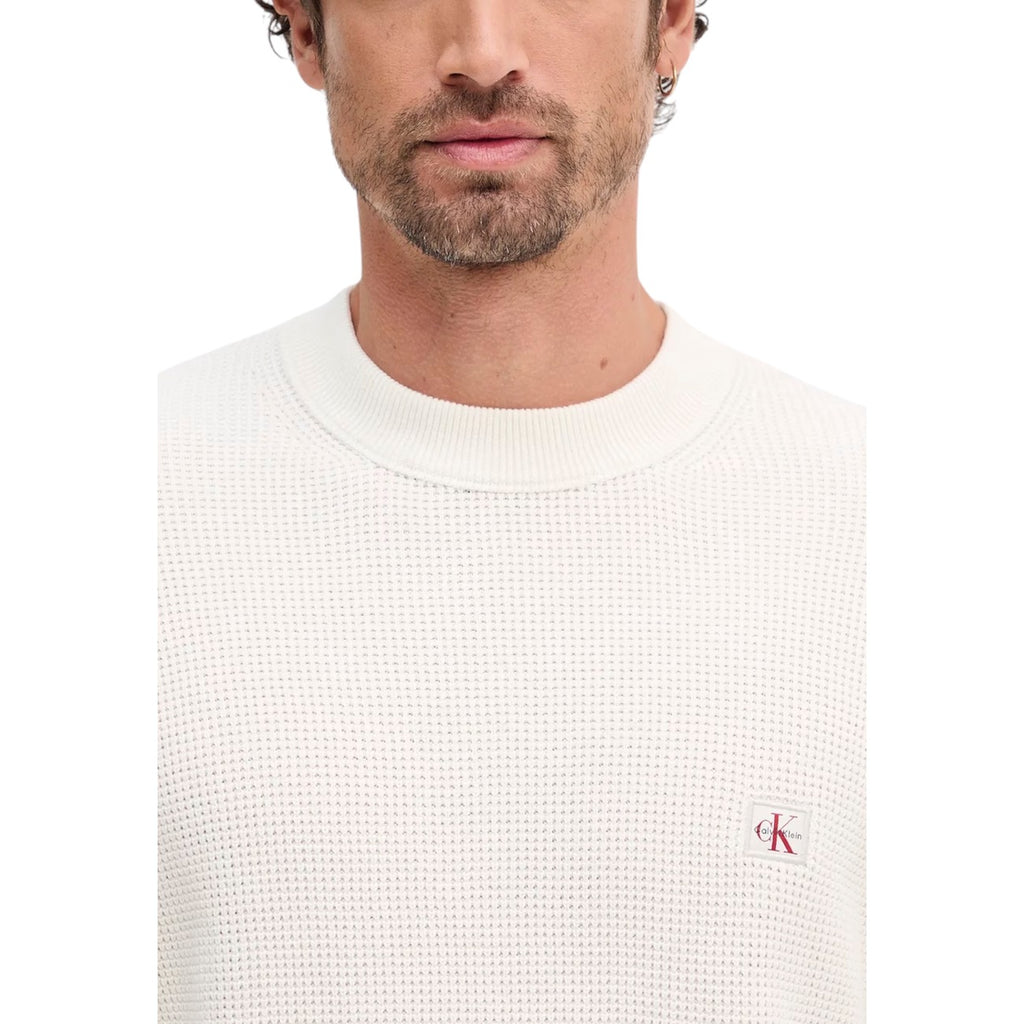 Calvin Klein Jeans — Herrenpullover LV04RD313G beige — Ansicht 4