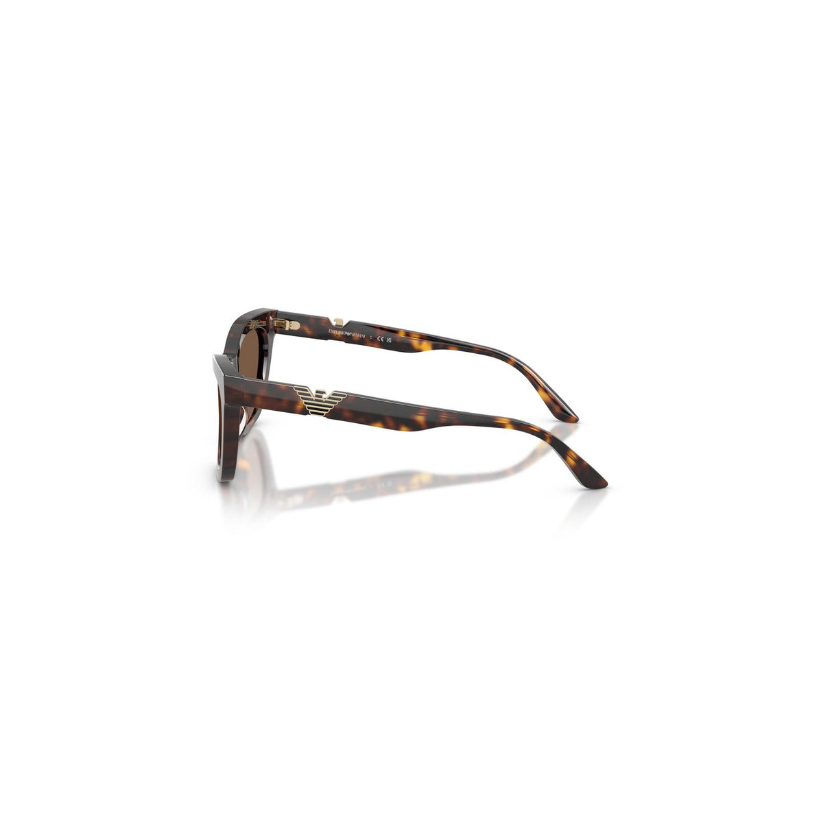 Emporio Armani — Women's 55mm brown acetate cat-eye sunglasses — view 5