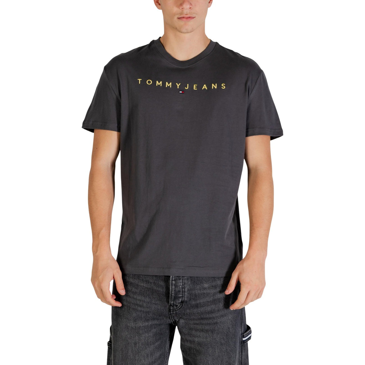 Tommy Jeans — Men’s gray organic cotton t-shirt — view 5