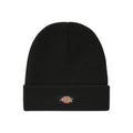 Dickies — Casquette réf. DK0A4X7K noir homme