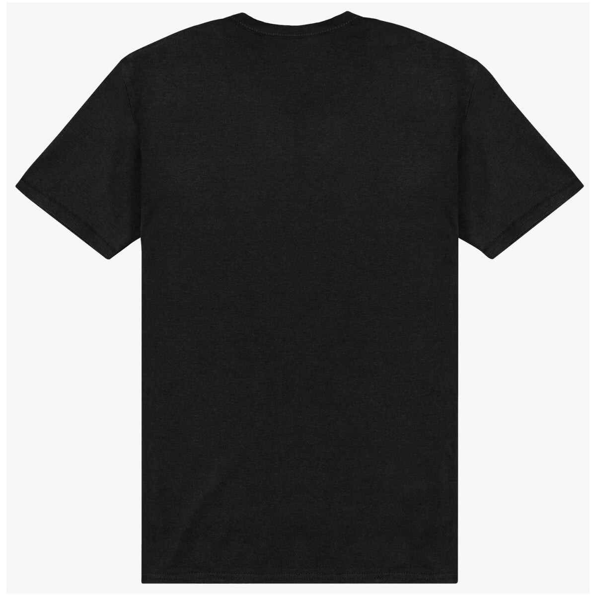 The North Face — T-shirt logo classique homme — vue 2 — Noir