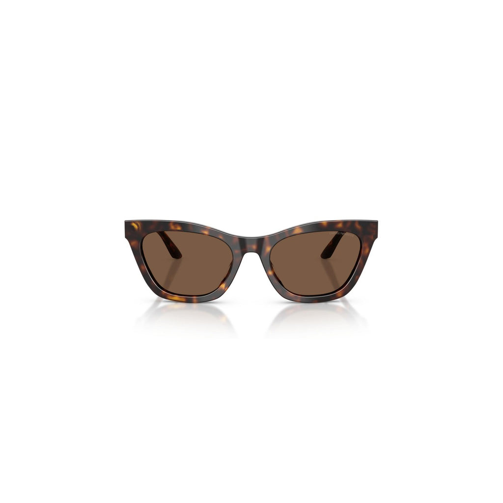 Emporio Armani — Women's 55mm brown acetate cat-eye sunglasses