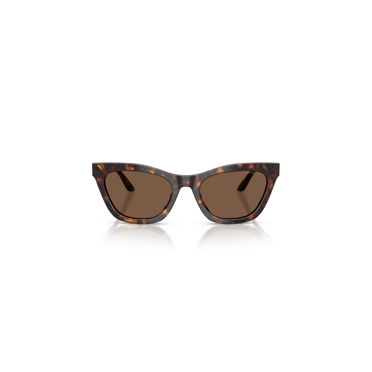 Emporio Armani — Women's 55mm brown acetate cat-eye sunglasses