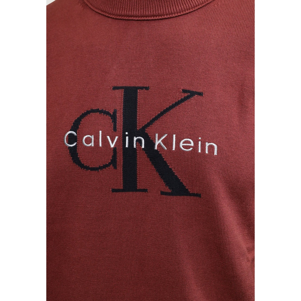 Calvin Klein Jeans — Pull marron à imprimé homme — vue 5