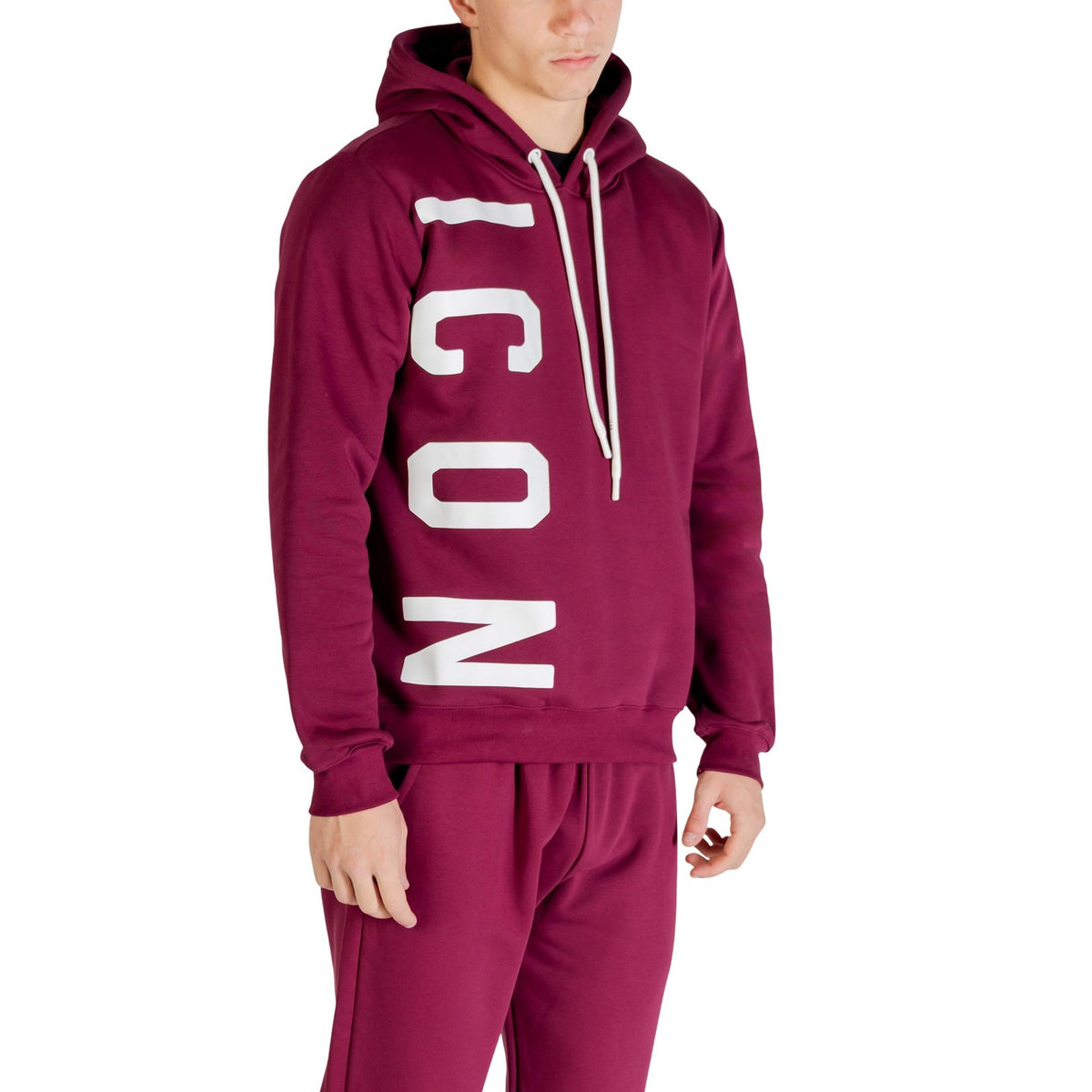 Icon — Sweat à capuche ICUF2W6F003 bordeaux homme — vue 4