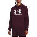 Under Armour — Sweat à capuche Rival Fleece Logo bordeaux homme