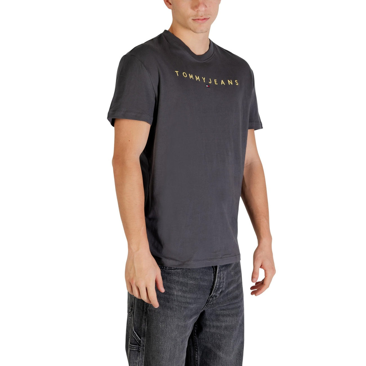 Tommy Jeans — Men’s gray organic cotton t-shirt — view 3